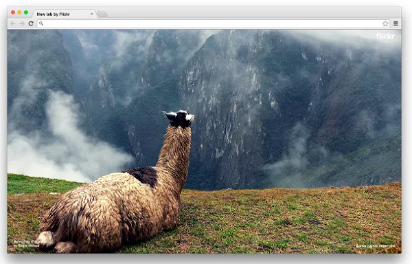 flickr-chrome-extension