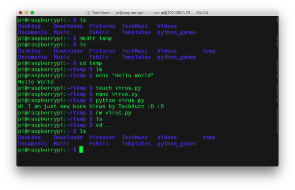 Basic Linux Command on Raspberry Pi 