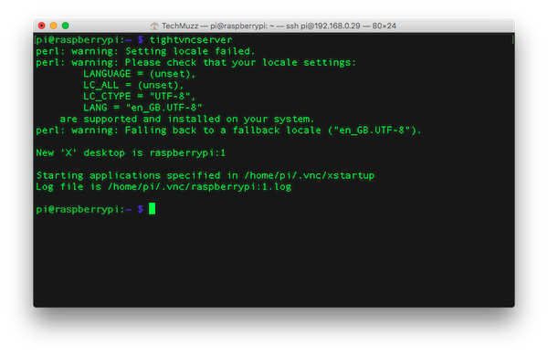 raspberry pi start vnc server command line
