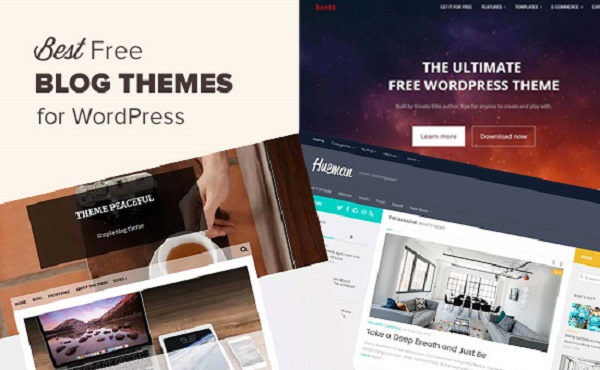 20 Best Free WordPress Blog Responsive Themes 2018