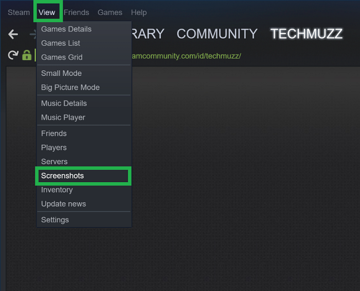 Steam screenshot option in view menu