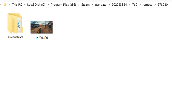 steam pubg screenshot folder