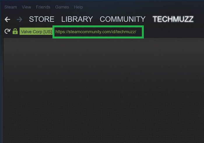 steam show username instea of userid in addressbar